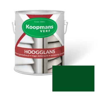 HOOGGLANS 250ML 25 GROEN KOOPMANS