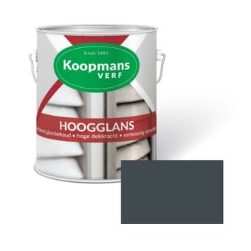 HOOGGLANS 250ML 489 ANTRACIET KOOPMANS
