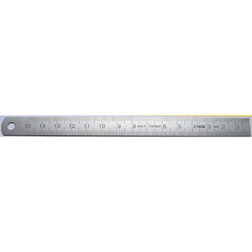 LINIAAL 300MM RVS CM/MM/ 1/2 MM VOGEL