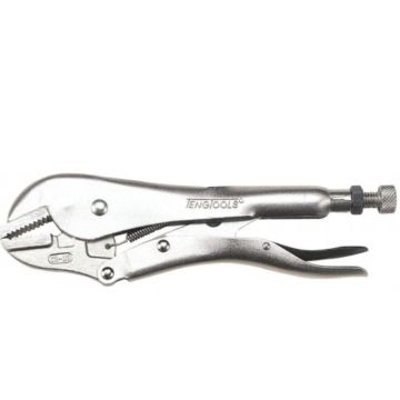GRIPTANG 10"  PLATTE BEK TENG TOOLS