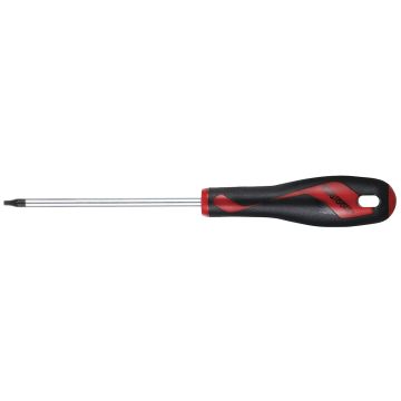 SCHROEVENDR.TORX.TX10 x 100 TENG TOOLS