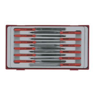 NAALDVIJLEN 12-DLG TTNF12 TENG TOOLS