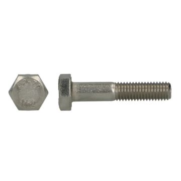 MOERBOUT UNC  1/2 X 2'