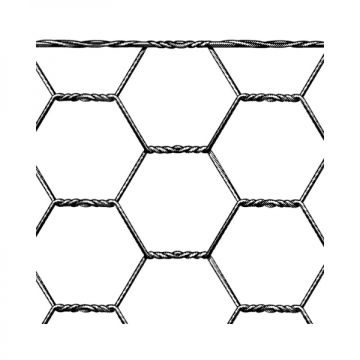 ZESKANTGAAS 100X 1/2'