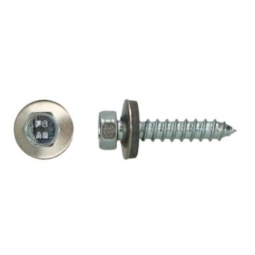 DAKPLAATBOUTEN 6.3X 25 RVS +RING 200-ST