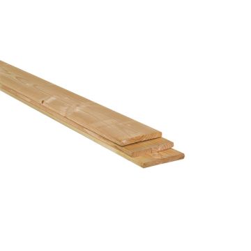 TUINPLANK 22X200 4-MTR LARIKS/DOUGLAS