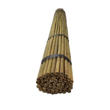 TONKINSTOK 210CM   14/16MM DIK