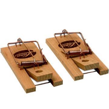 MUIZENVAL HOUT 2-STK LUNA
