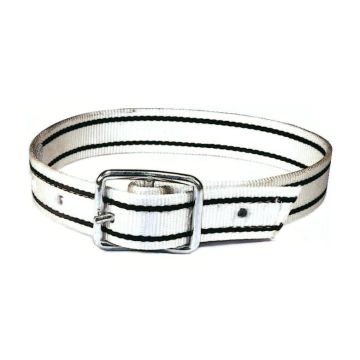 HALSBAND NYLON MET GESP 120CM