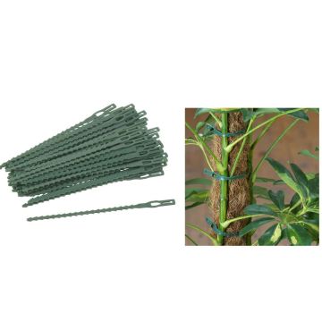PLANTENBINDERS 11.5-17 CM 40-STK  RAPA