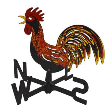 WINDHAAN IN KLEUR