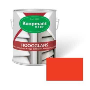 HOOGGLANS 250ML 10 ORANJE KOOPMANS