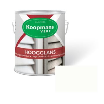 HOOGGLANS 250ML 373 WIT KOOPMANS