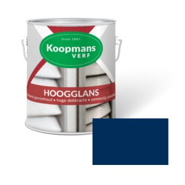 HOOGGLANS 250ML 42 BLAUW KOOPMANS