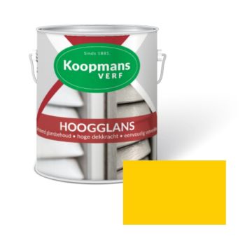 HOOGGLANS 250ML 45 GEEL KOOPMANS