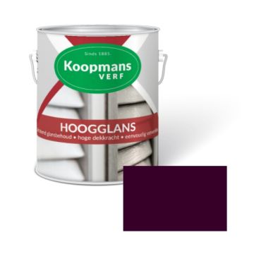 HOOGGLANS 250ML 547 BRAAM KOOPMANS