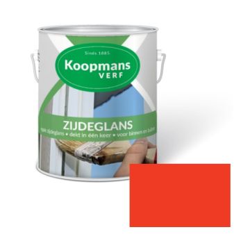 ZIJDEGLANS 250ML 10 ORANJE KOOPMANS