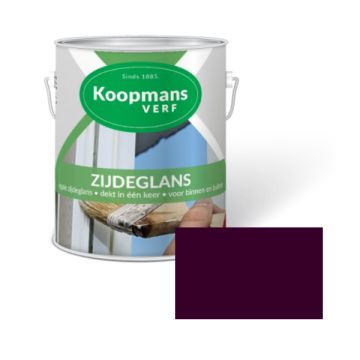 ZIJDEGLANS 250ML 547 BRAAM KOOPMANS