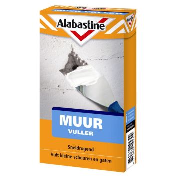 MUURVULLER 1 KG ALABASTINE