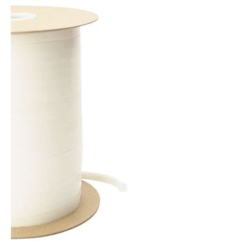 BEGLAZINGSBAND 9X4 MM WIT