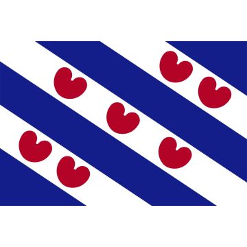 fries bootvlaggetje