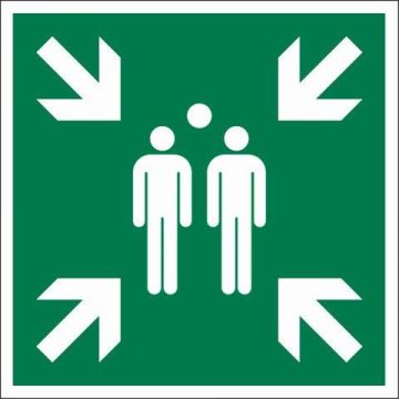 PICTOGRAM 15X15 VERZAMELPLEK CALAMITEIT