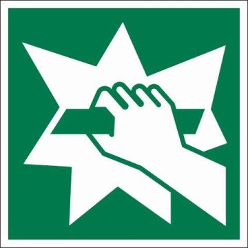 PICTOGRAM 15X15 RUIT INSLAAN VLUCHTWEG