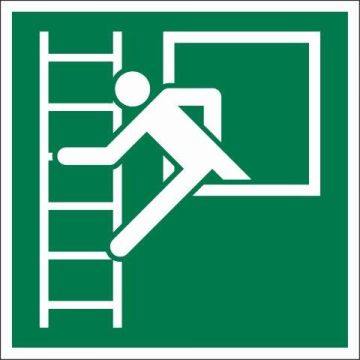PICTOGRAM 15X15 VLUCHTWEG NOODLADDER