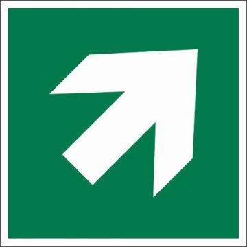 PICTOGRAM 15X15 RICHTINGSPIJL 45°