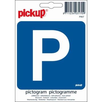 PICTOGRAM 10X10 CM PARKEREN