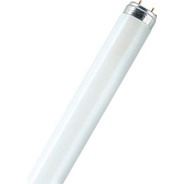 TL-BUIS 36/830 WARM/WIT