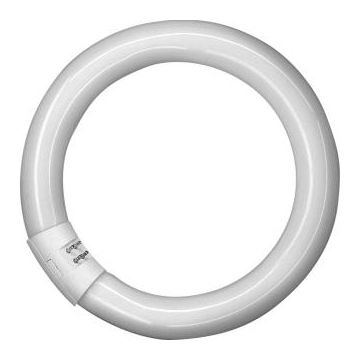 TL-BUIS CIRKEL 32/840 T8 OSRAM