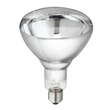 WARMTELAMP 250W WIT