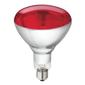 WARMTELAMP 250W ROOD