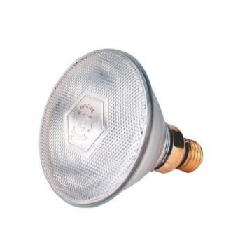 WARMTELAMP 100W WIT