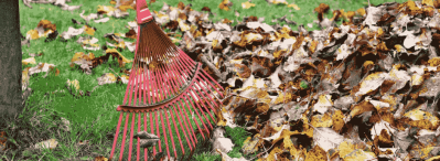 Tuinklussen in oktober: wat doe je met al dat blad?