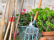 tuin gereedschap